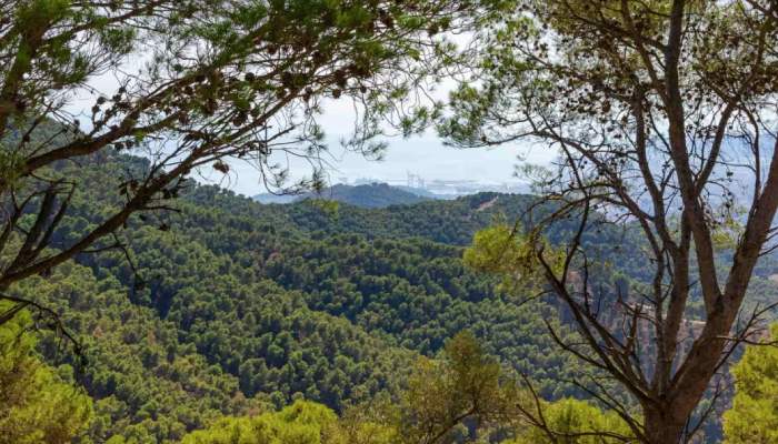 Parques naturales en Málaga